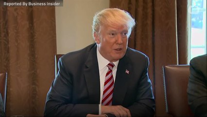Trump Described Micheal Cohen As The 'Fixer' And 'Bull In A China Shop'