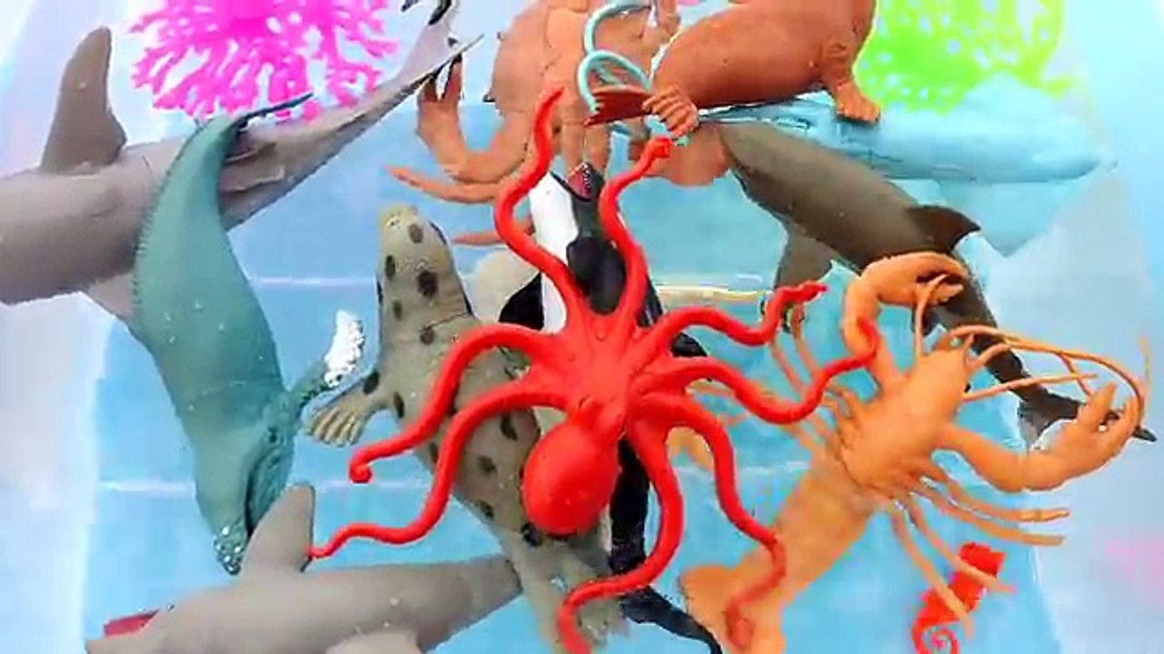 Learn Names Of SEA ANIMALS-Preschool Children Fun- Sea Animal Toy Unboxing-Shark Toys,Whale,Crab
