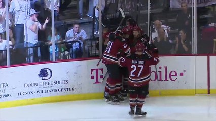 AHL San Jose Barracuda 0 at Tucson Roadrunners 3