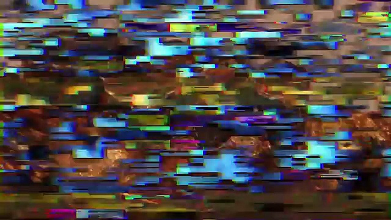 Incredible Fossilized Discoveries