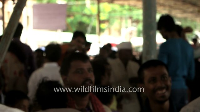 Bathini Brothers Fish medicine for asthma patients at Nampally Exhibition ground, Hyderabad