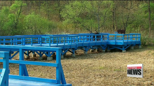 Expert's take on inter-Korean peace declaration