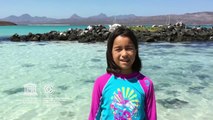 Itzayana #MyOceanPledge Islands and Protected Areas of the Gulf of California