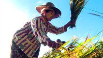 Food Security – Empowering Future Generations: Communication for Development in Myanmar