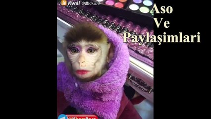 Kürtçe Dublaj Kuro Cefo Ez Ketıme Cınnete