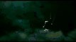Acrimony - FULL `4K MOVIE `【VIMEO】on Vimeo