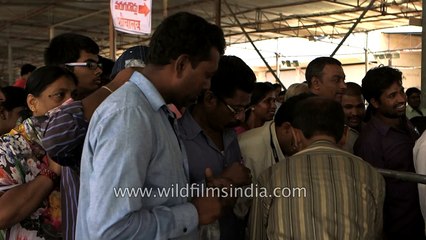 Thousands queue for secret fish medicine that cures respiratory illness