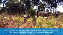 School Land: Ayúdanos a construir una escuela en Zambia