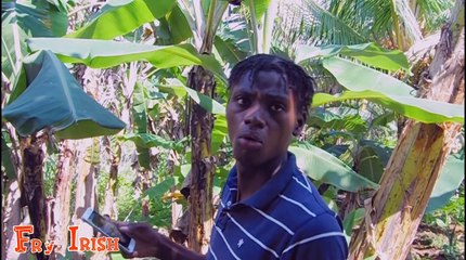 Remedy [ Fry Irish Comedy ]