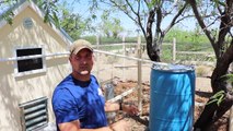 Chicken Coop Tour  - Rainwater harvesting, Solar, DIY Feeder, ... and more!