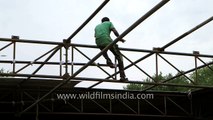 Harinath Goud administering the preparation at Nampally Exhibition Ground%2C Hyderabad