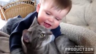 Babies annoying cats – Funny baby & cat compilation_HIGH