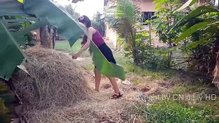 Wow! Incredible Girl Catch Village Snake with Hand / How To Catch Village Snake In My Village