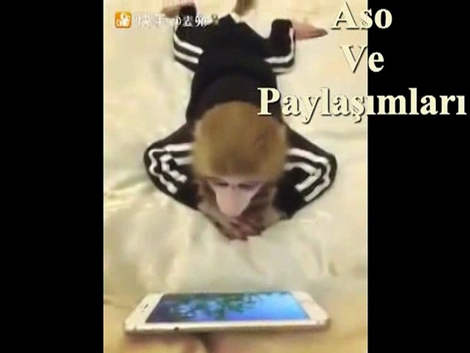 Kürtçe Dublaj Filma Türkan Şoro.Aso ve Paylaşımları