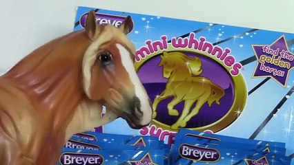 Truth About The Golden Mini Whinnie - Blind Bag Contest