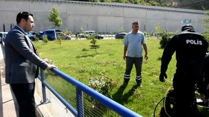 Kelkit Çayı'nda kaybolan muhtarı JAK ekibi arıyor