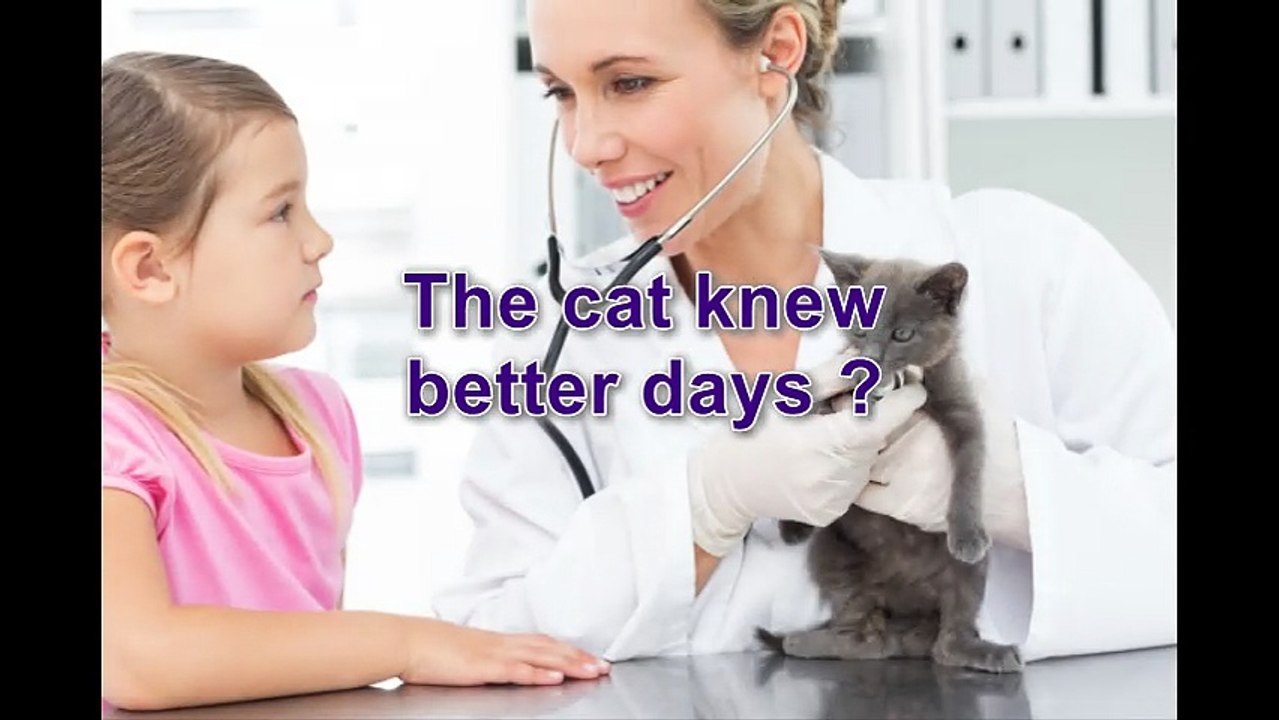 vet in oldham