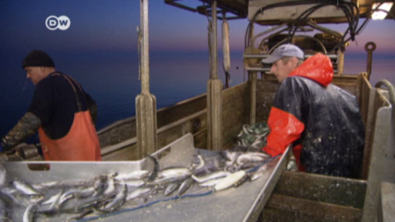 صيد الأسماك في أوروبا