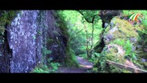 Devil's Glen Ashford Wicklow Ireland by Martin Varghese & Ancy Koduppana Polackal Ivision Ireland