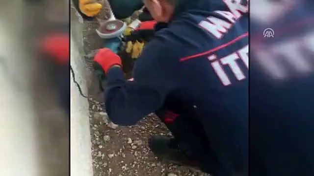 Kafası plastik boruya sıkışan kedi kurtarıldı