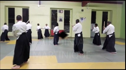 KATA 14 AÏKI-JINJA au Palais des Sports du Lamentin