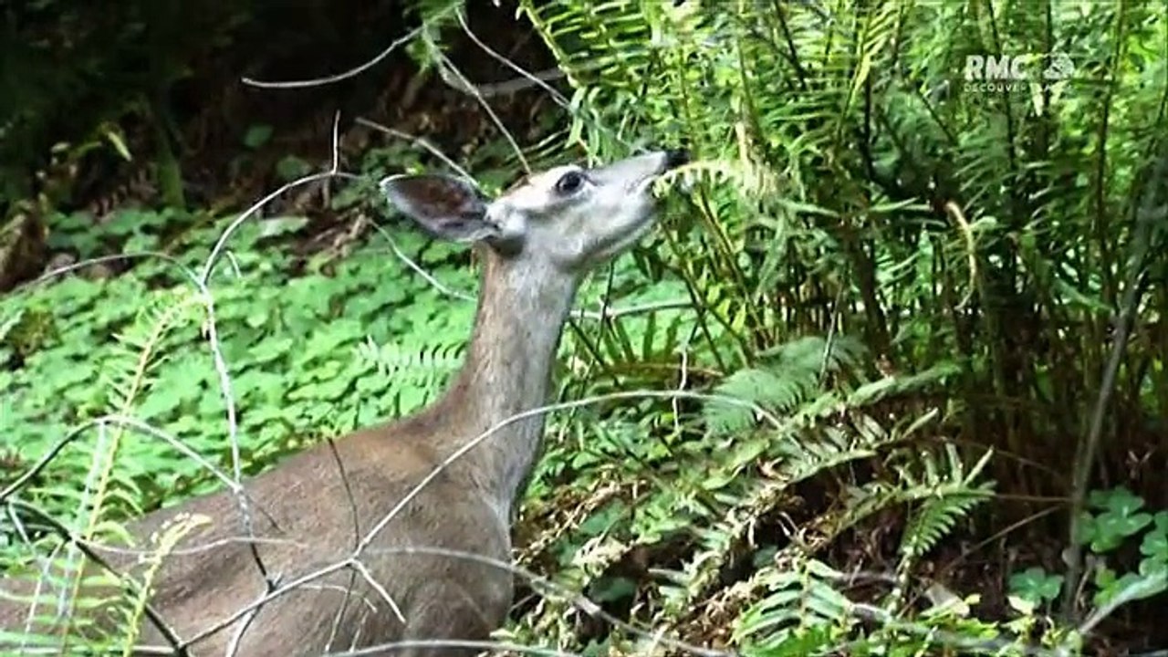 Les mystères du cosmos,  Seuls dans l'univers [Documentaire Astronomie]