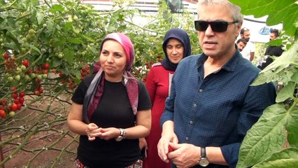 Sanatçı Cengiz Kurtoğlu festivalde seraları gezip ürünlerin tadına baktı