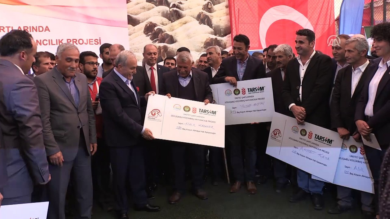 Bakan Fakıbaba, canlı hayvan dağıtımı törenine katıldı - ŞIRNAK