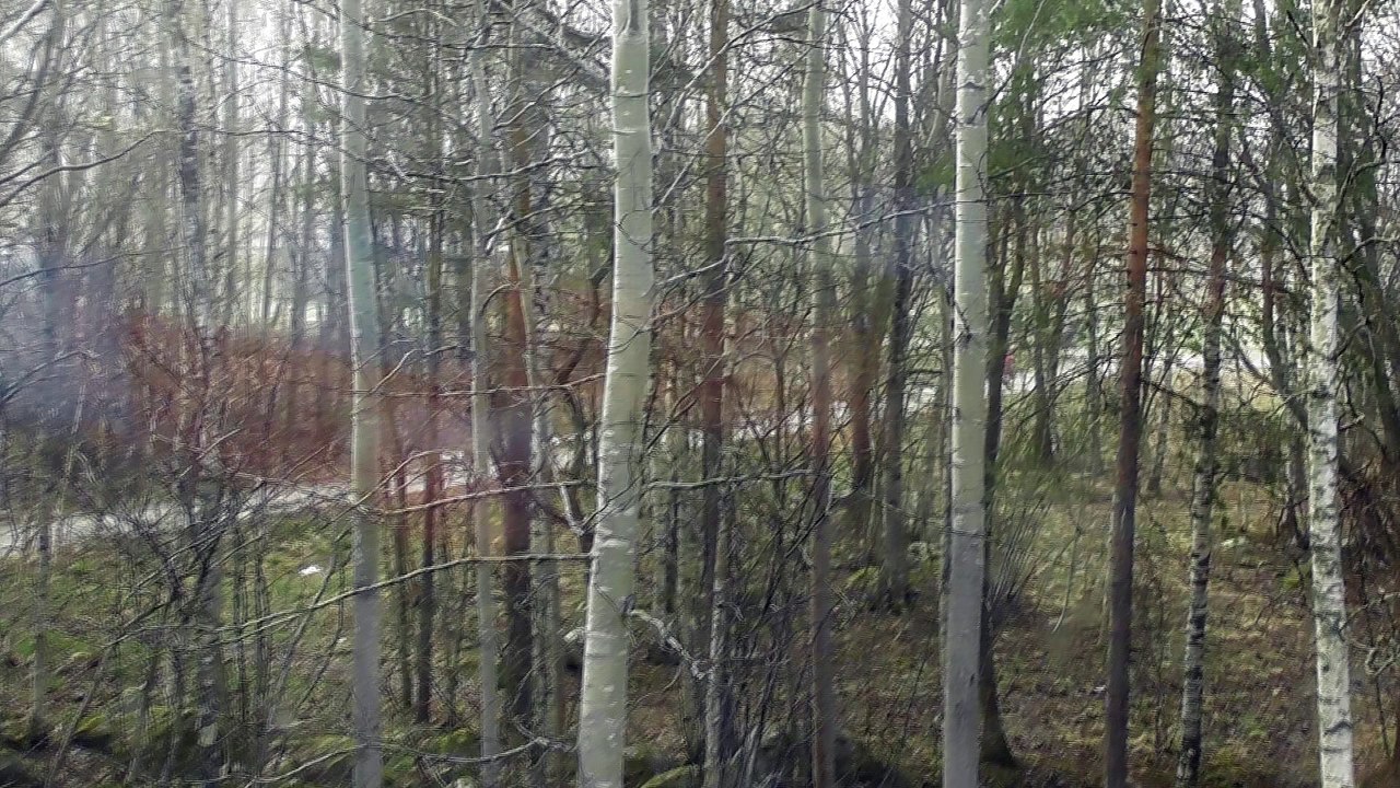 Apr 28 2018 DL6