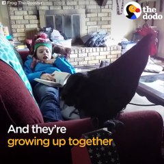This very loyal rooster runs to meet his favorite girl at the bus stop every single day!