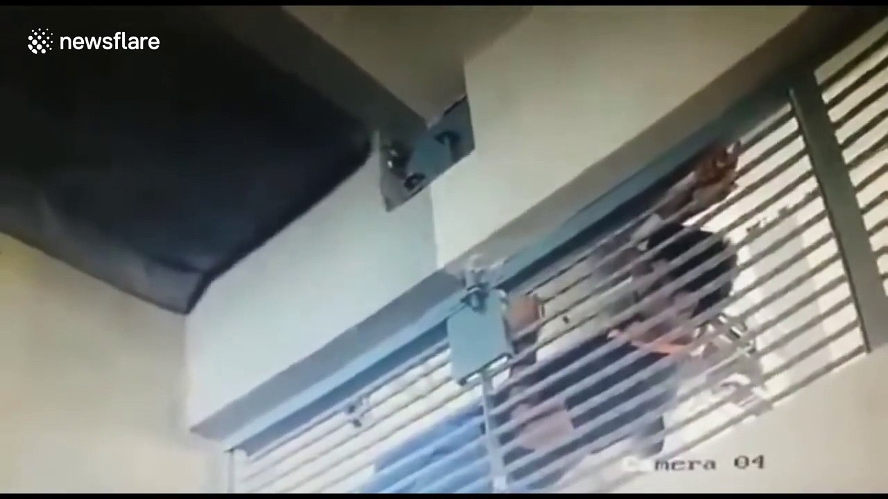 فيديو.. شاهد كيف هرب سجينين من أحد السجون الهندية