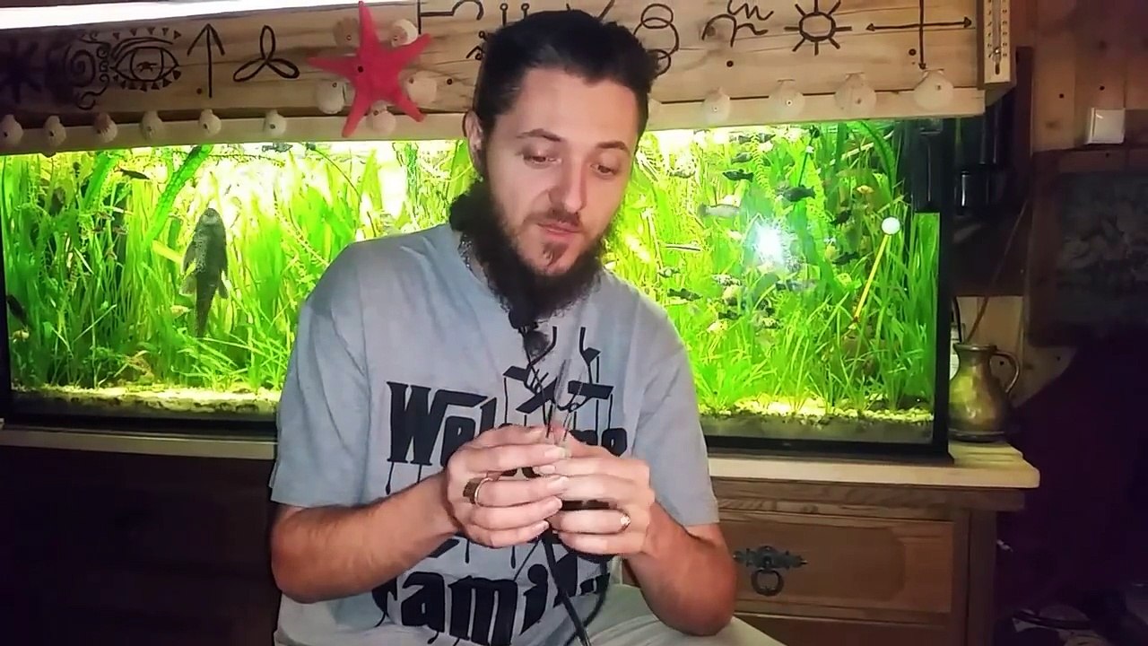 Jak zrobic domowe Srebro koloidalne szybko i tanio