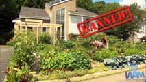 DTube - Grow Food, Not Lawns! - Couple Fights For Right To Grow Their Own Food (Freedom Minute)