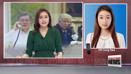 Trump, Abe agree N. Korea must act on denuclearization pledge