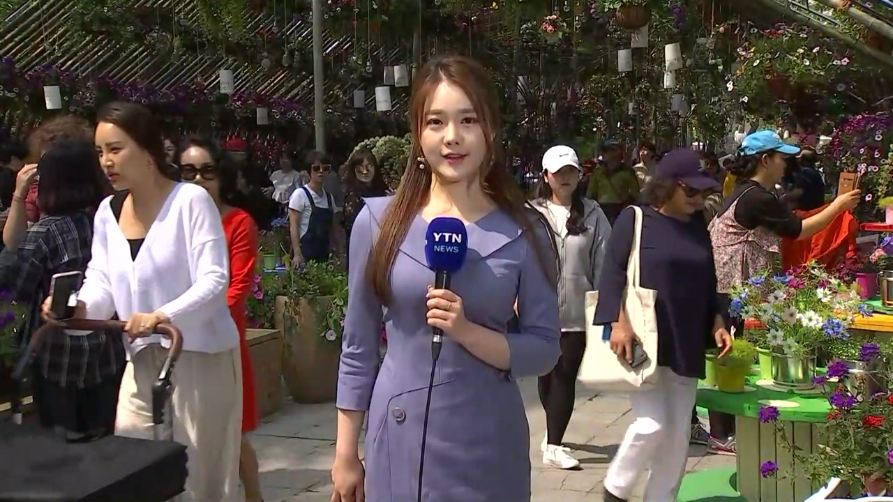 [날씨] 때 이른 더위 속 봄꽃축제...밤부터 미세먼지↑ / YTN