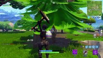 Fortnite Double Kill....