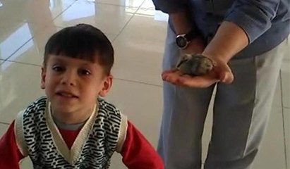 5 yaşındaki çocuk yavru kuşun hayatını kurtardı