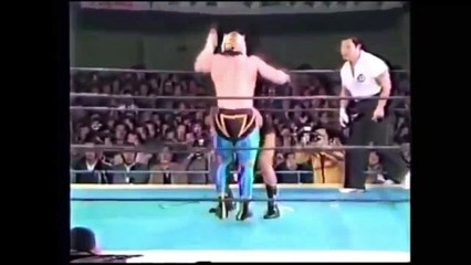 燃えろ！吠えろ！タイガーマスク