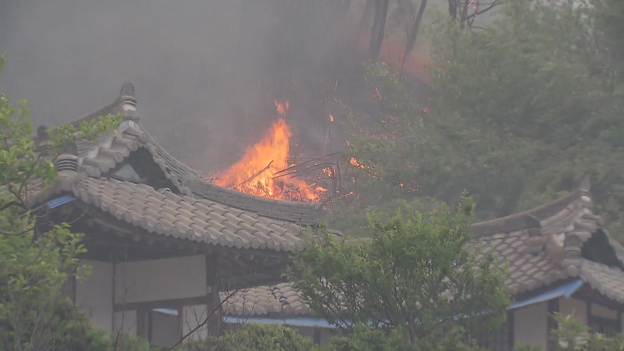 고온에 동해안 건조 경보...산불 등 화재 비상 / YTN