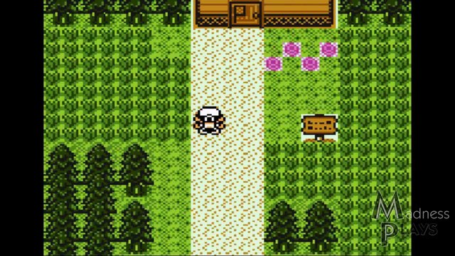 Madness Plays | Pokemon Prism Part 21: Learning To Fly