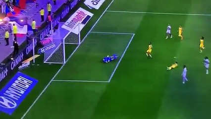 Le comportement douteux du futur Lyonnais Dubois lors de Lyon - Nantes