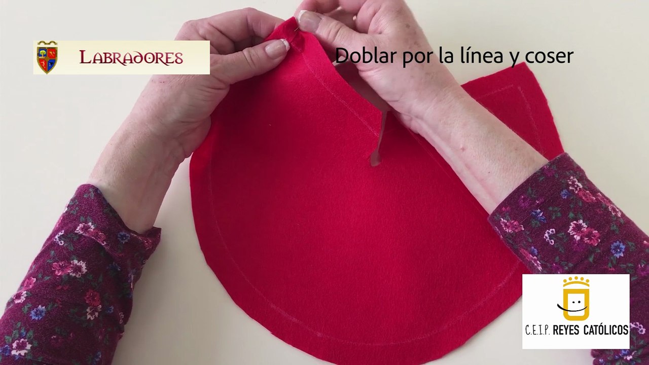 Labradores