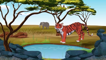 Funny Dinosaur Cartoons episode 5 Learn Animals: Lion & Tiger | Animation for Toddlers | Toon-O-Saur