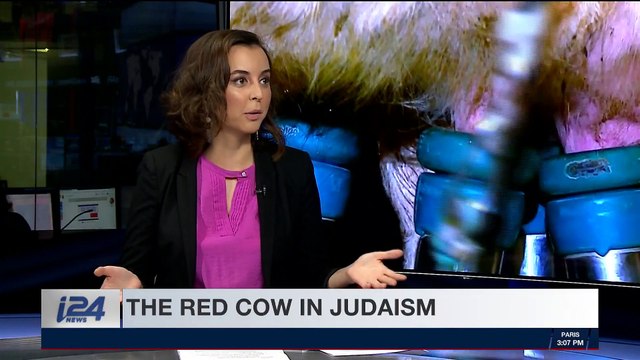 HOLY LAND UNCOVERED | Animals and the Holy Land | Sunday, April 29th 2018