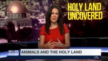 HOLY LAND UNCOVERED | Animals in the Bible | Sunday, April 29th 2018