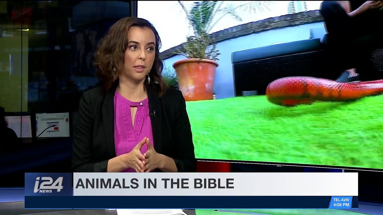 HOLY LAND UNCOVERED | With Jordana Miller | Sunday, April 29th 2018