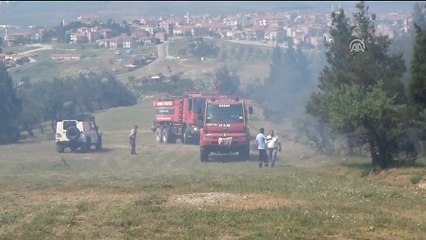 Keşan'da orman yangını - EDİRNE