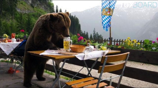 Compilation des photos les plus insolites du weekend