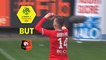 But Benjamin BOURIGEAUD (47ème) / Stade Rennais FC - Toulouse FC - (2-1) - (SRFC-TFC) / 2017-18