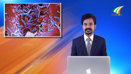 ലോകത്തിലെ ഏറ്റവും നീളം കൂടിയ പിസ Ivision Ireland News 31